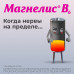 Магнелис В6 таблетки покрыт.об. 48 мг+5 мг 50 шт Магнелис В6 таблетки покрыт.об. 48 мг+5 мг 50 шт