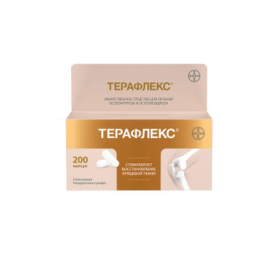 Терафлекс капсулы 500 мг+400 мг 200 шт